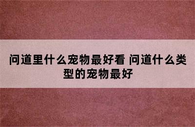 问道里什么宠物最好看 问道什么类型的宠物最好